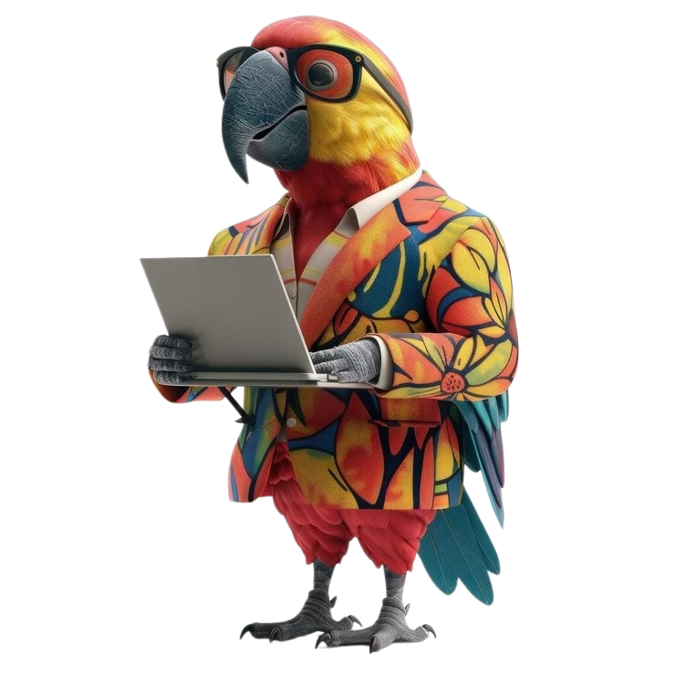 Macawfly expert team in Website development and Digital marketing services